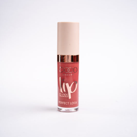 Lip Gloss – 04