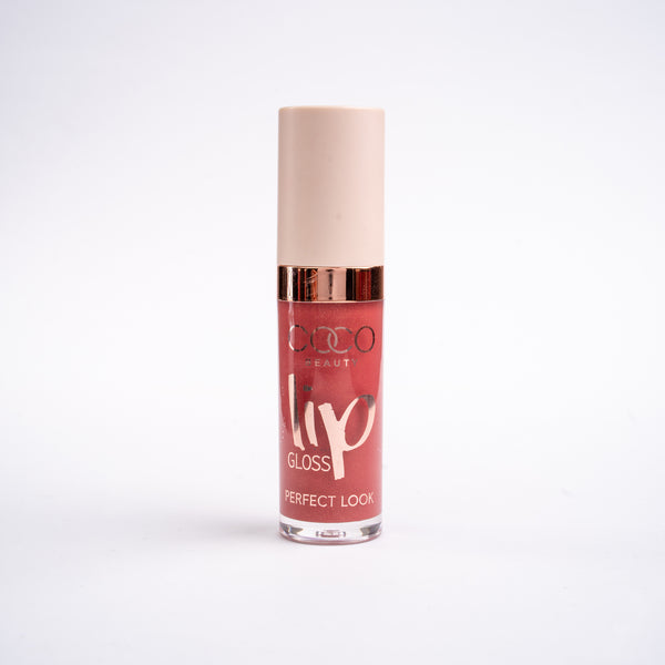 Lip Gloss – 04