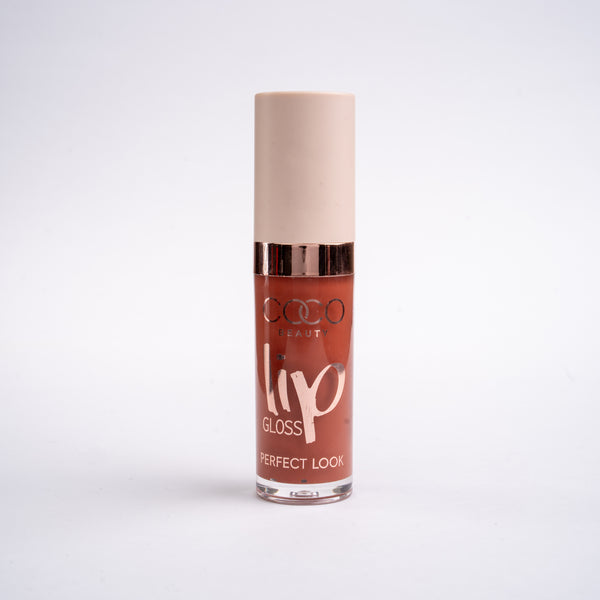 Lip Gloss – 06